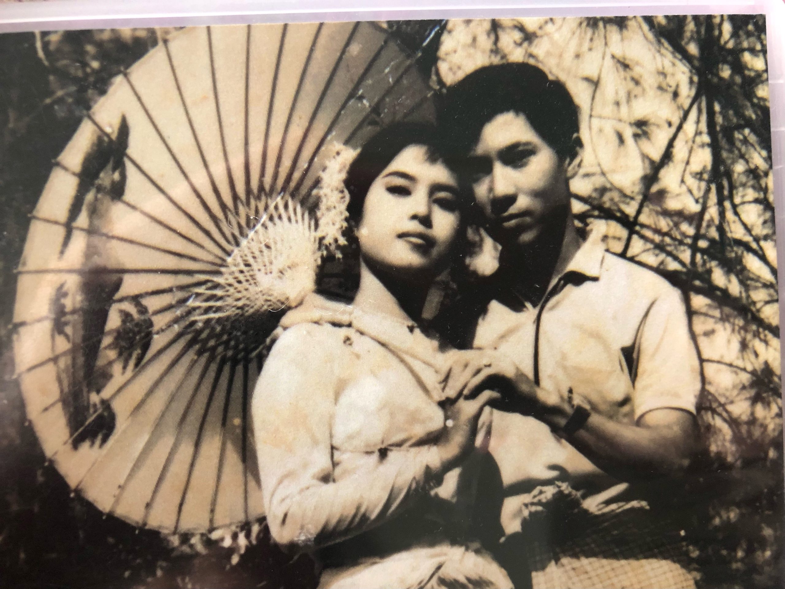 HOME ANTHROPIC visual data 6